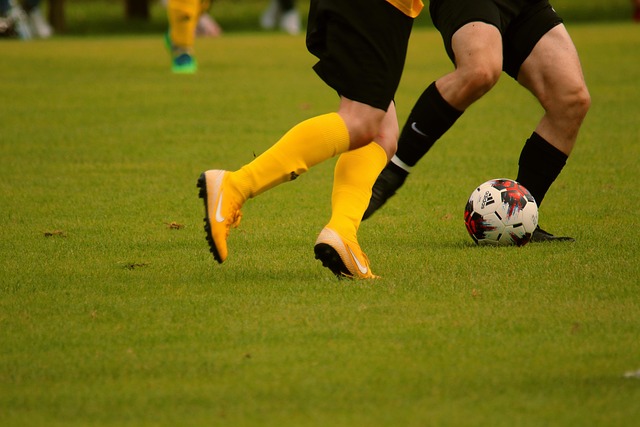 队带来了机 队带来了机